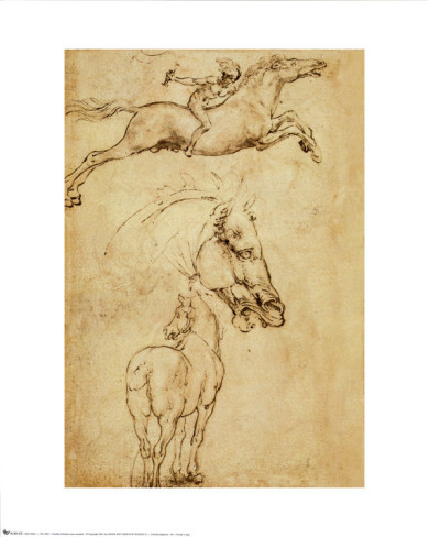 Sketch Of A Horse - Leonardo Da Vinci Painting